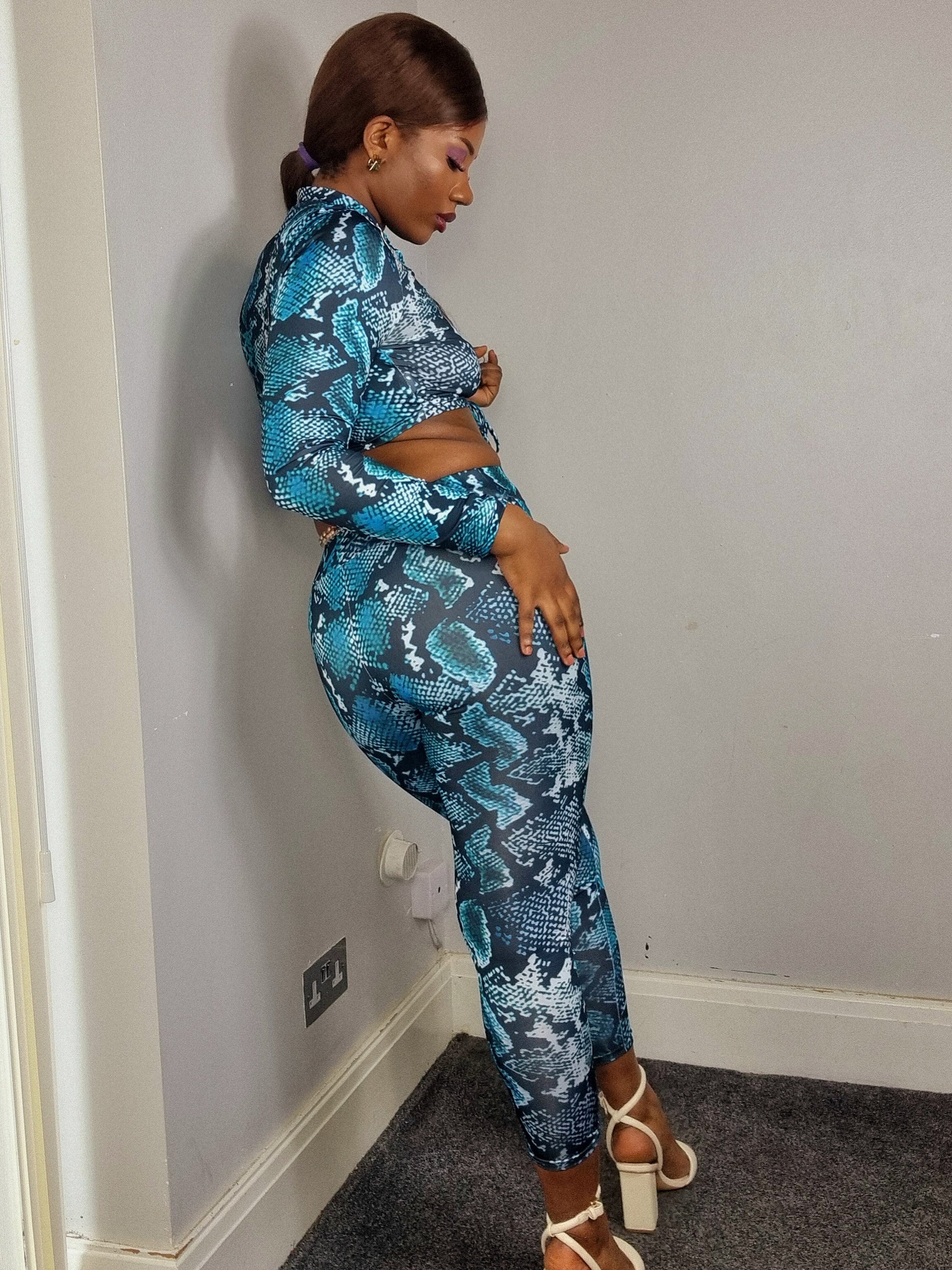 Two Piece Set Animal Print Long sleeved Top and Pants